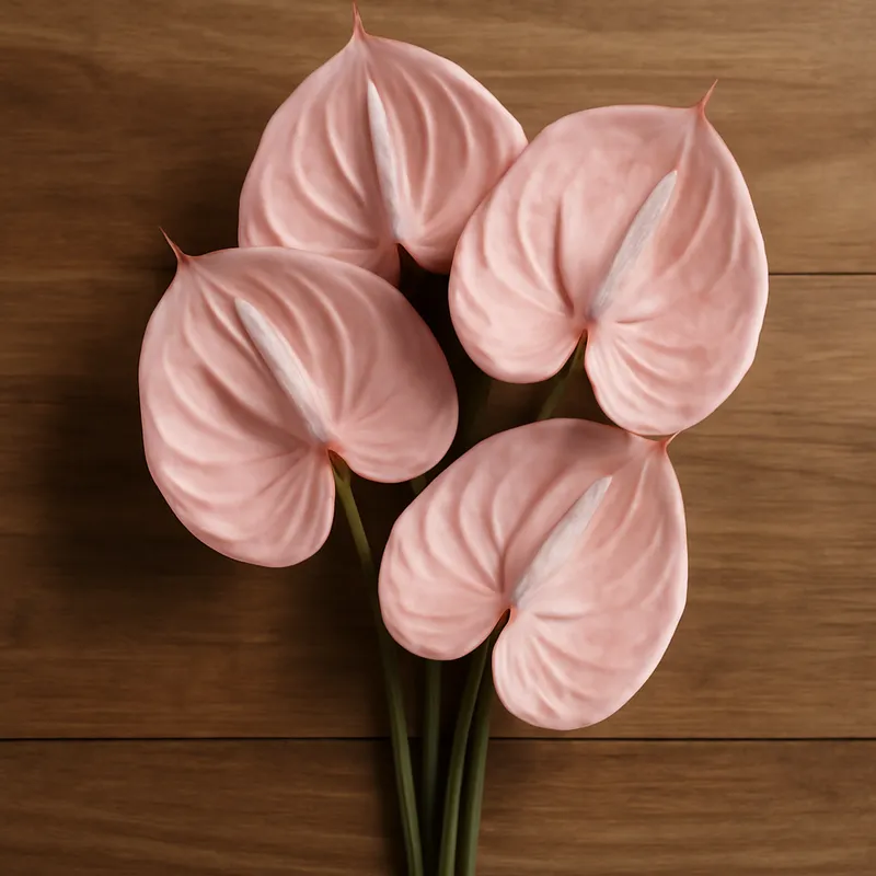 Anthurium (Flamingoblume) - rosa - Bild 3