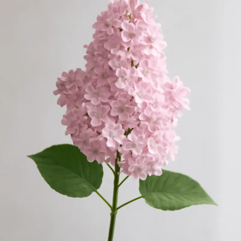 Flieder - rosa
