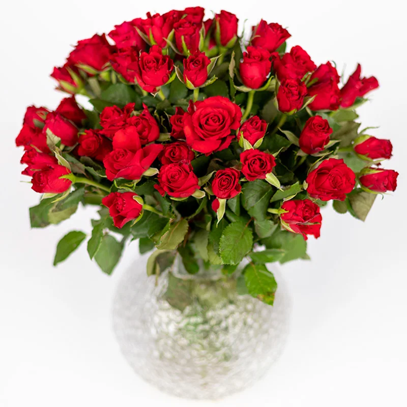 Valentinstagsstrauss mit roten Rosen